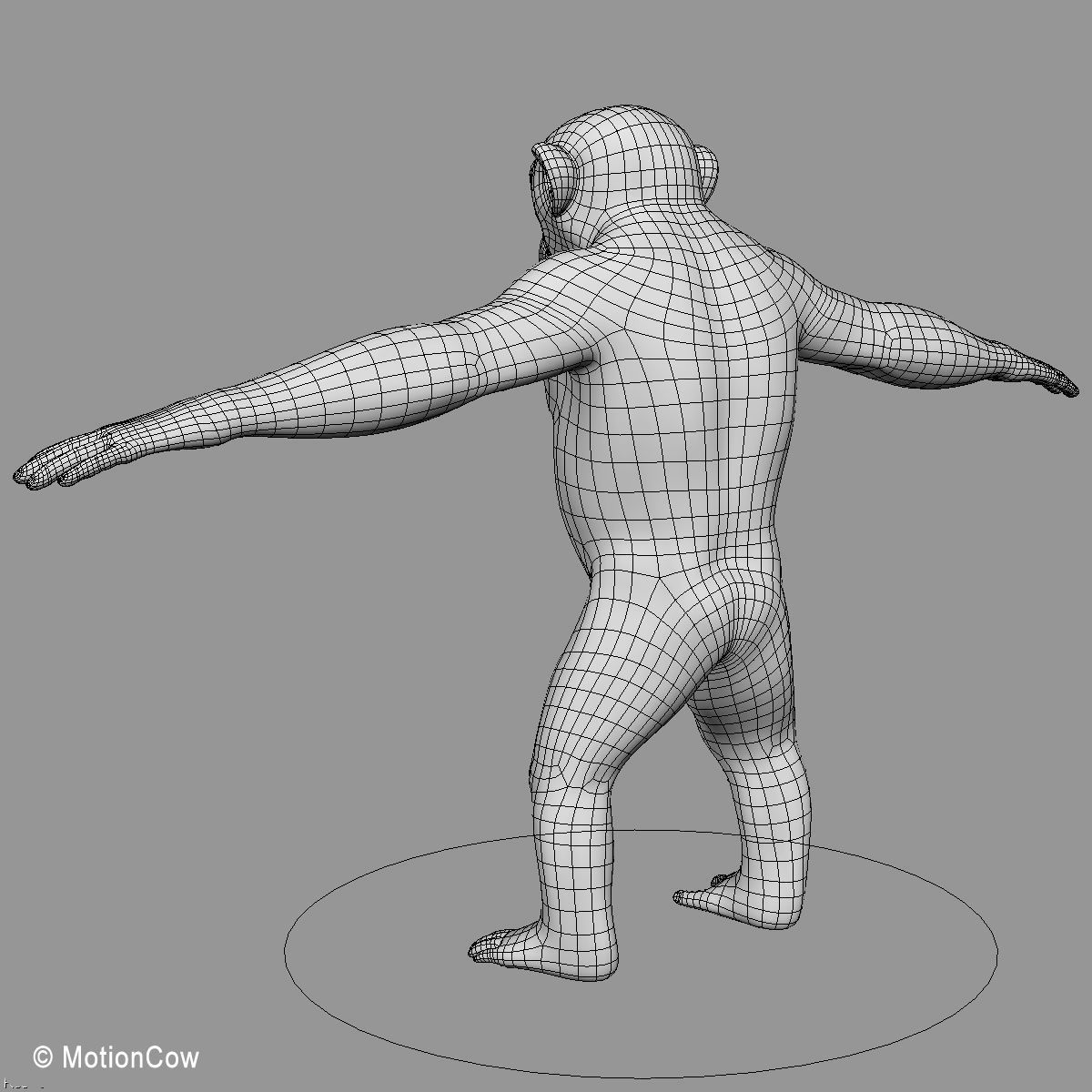 Chimpanzee 3D model_23