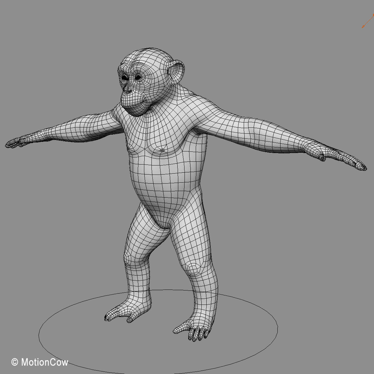 Chimpanzee 3D model_22