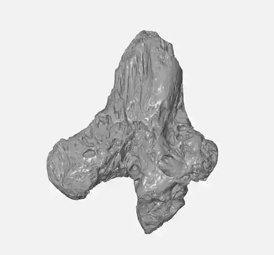 DRIFTWOOD2 HIGH QUALITY 3D 