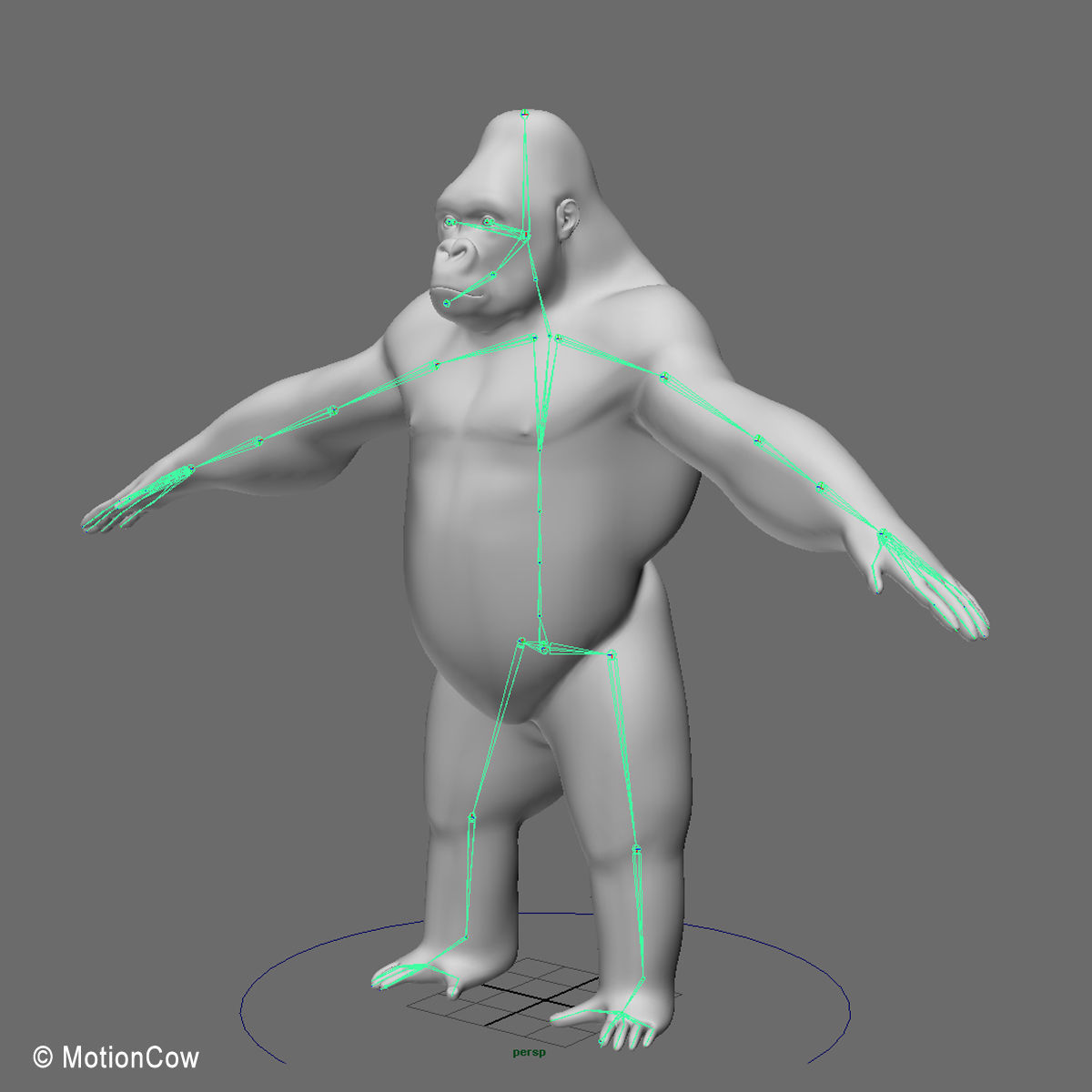 Gorilla 3D model_16