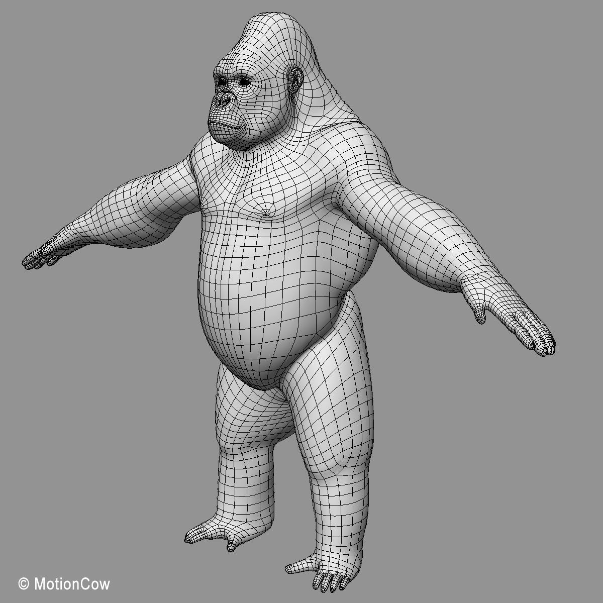 Gorilla 3D model_17