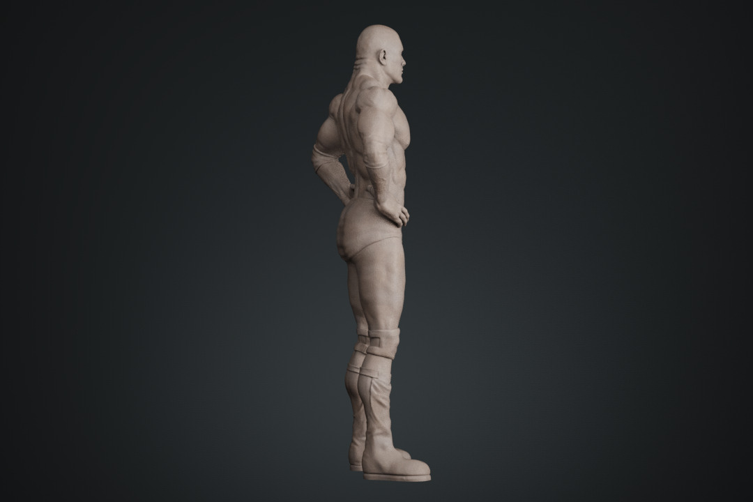 Dwayne Johnson The Rock 3D print model_24