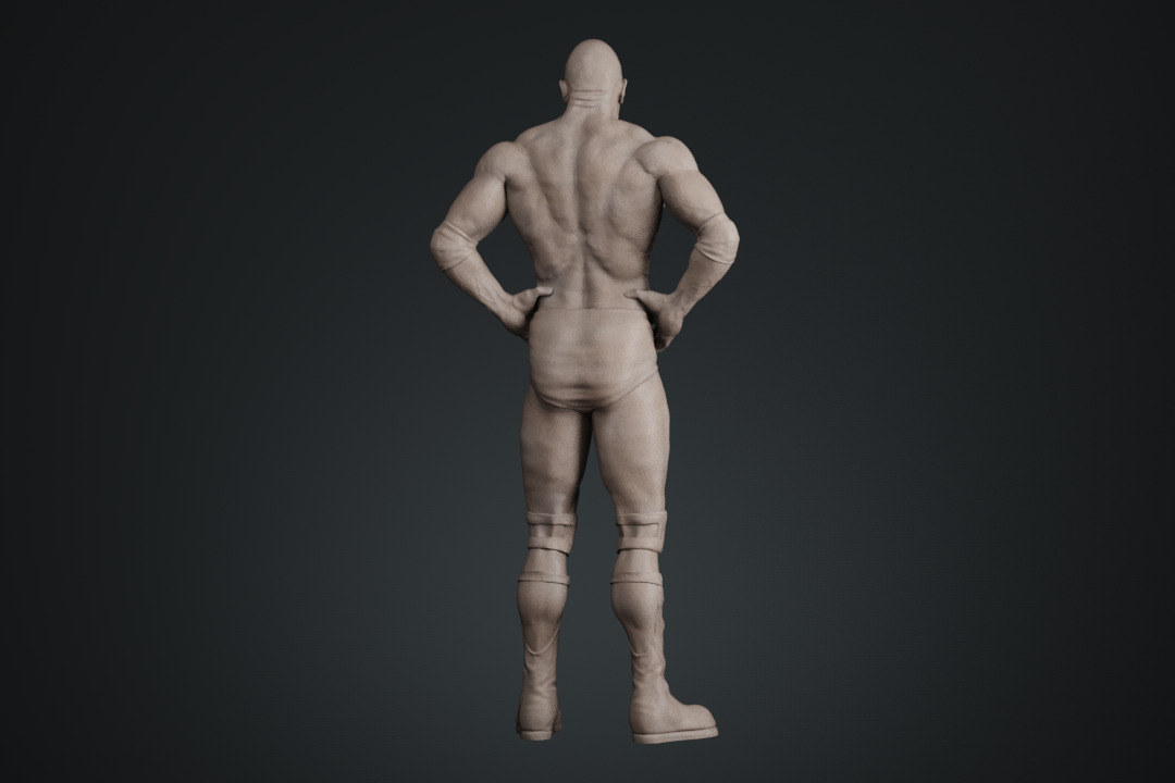 Dwayne Johnson The Rock 3D print model_22