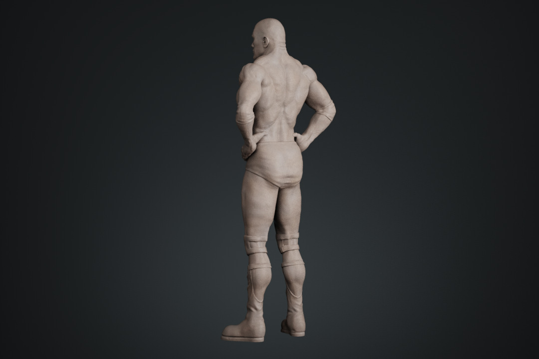 Dwayne Johnson The Rock 3D print model_20