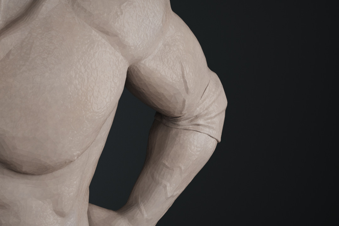Dwayne Johnson The Rock 3D print model_12
