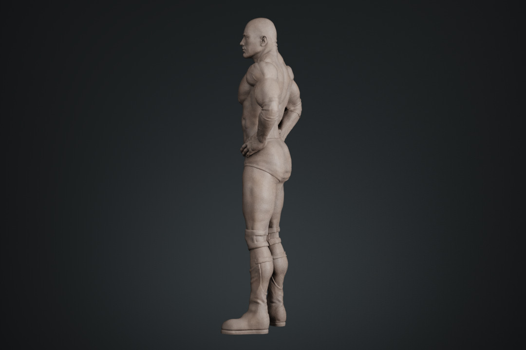 Dwayne Johnson The Rock 3D print model_19