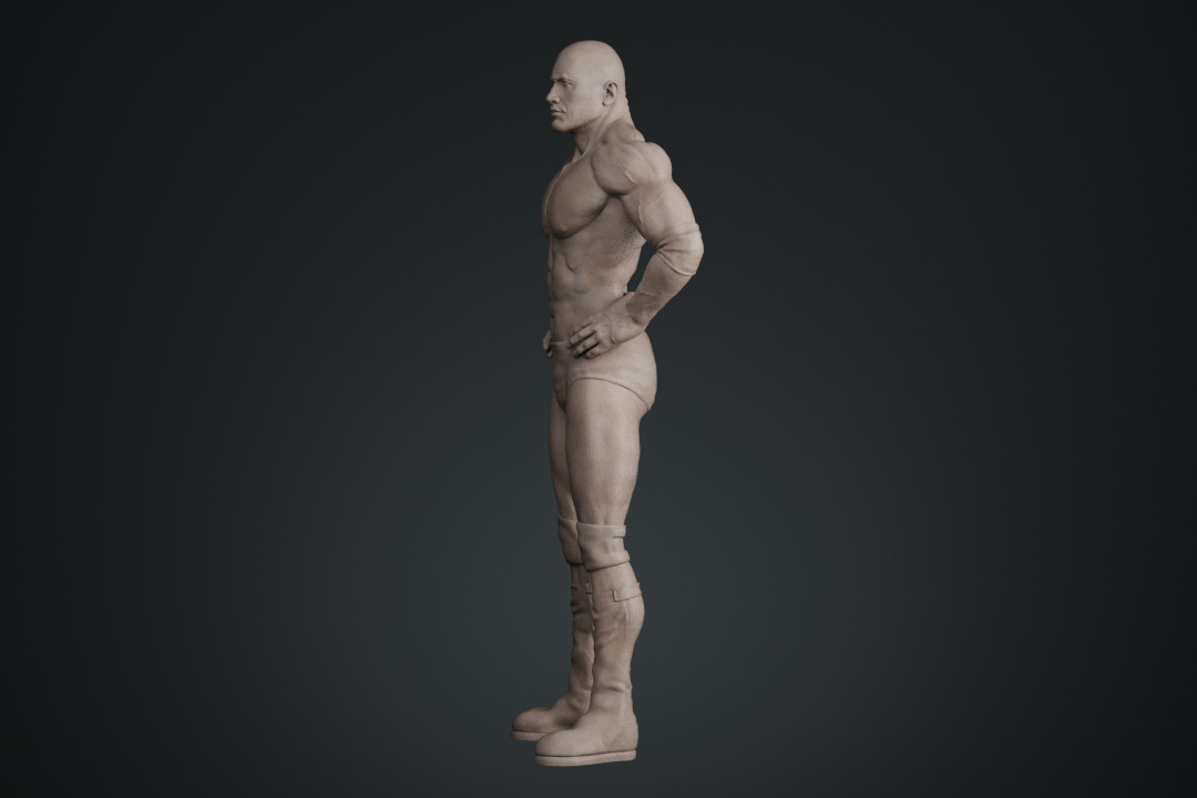 Dwayne Johnson The Rock 3D print model_18