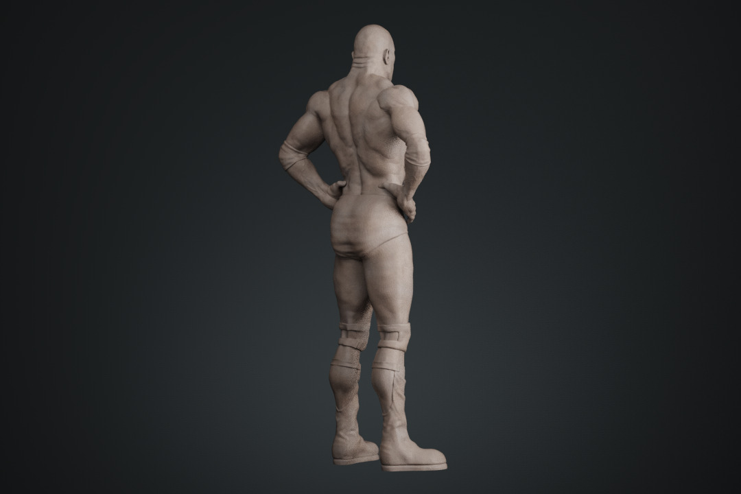 Dwayne Johnson The Rock 3D print model_23