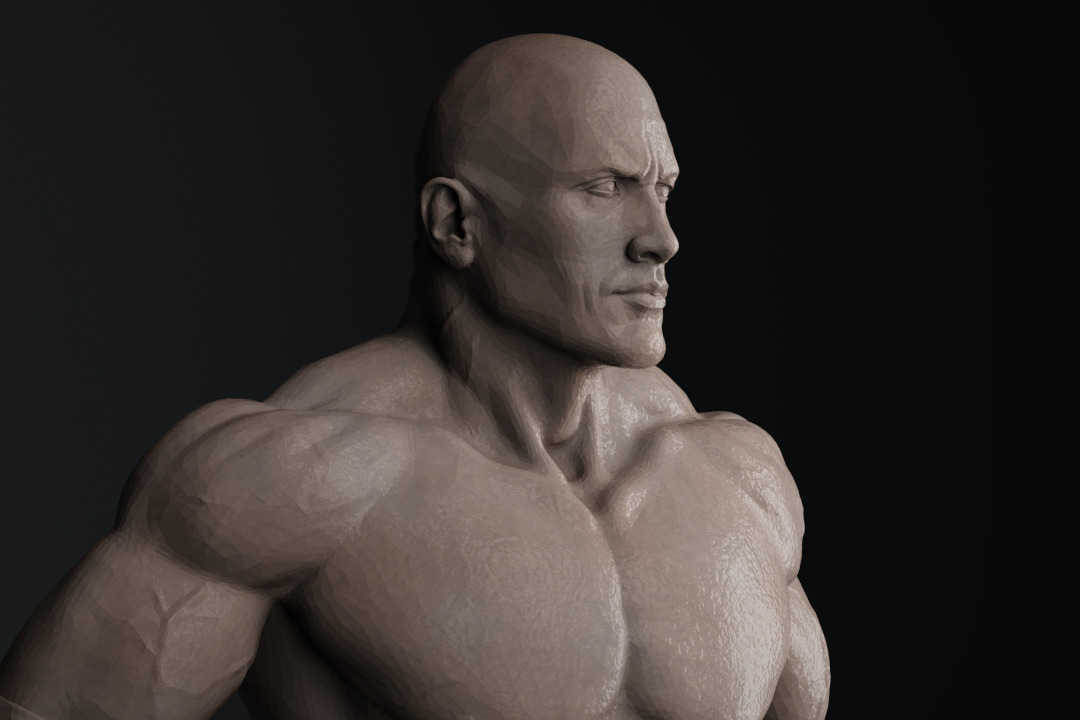 Dwayne Johnson The Rock 3D print model_14