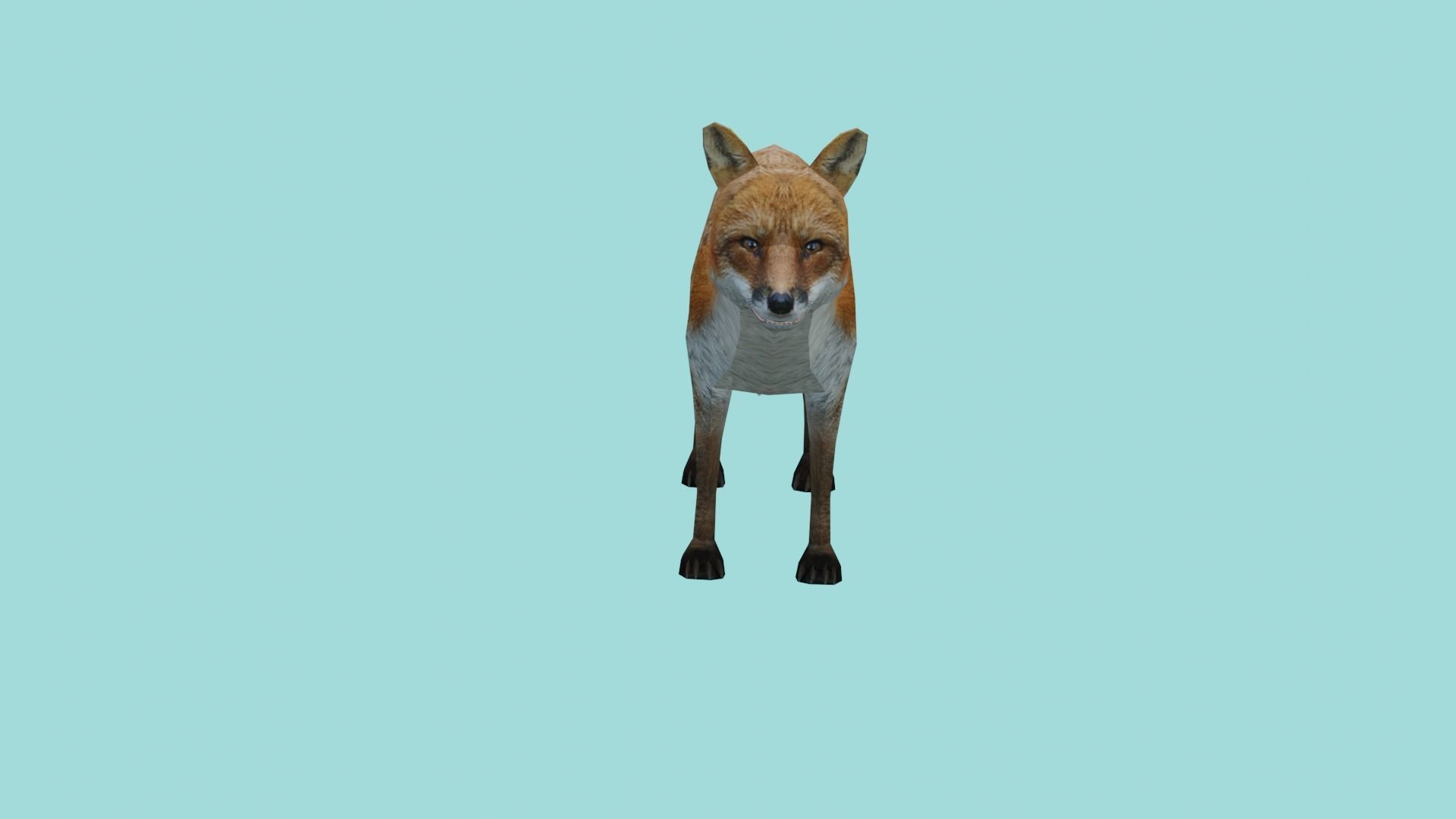fox lowpoly 3d model 3D model_2