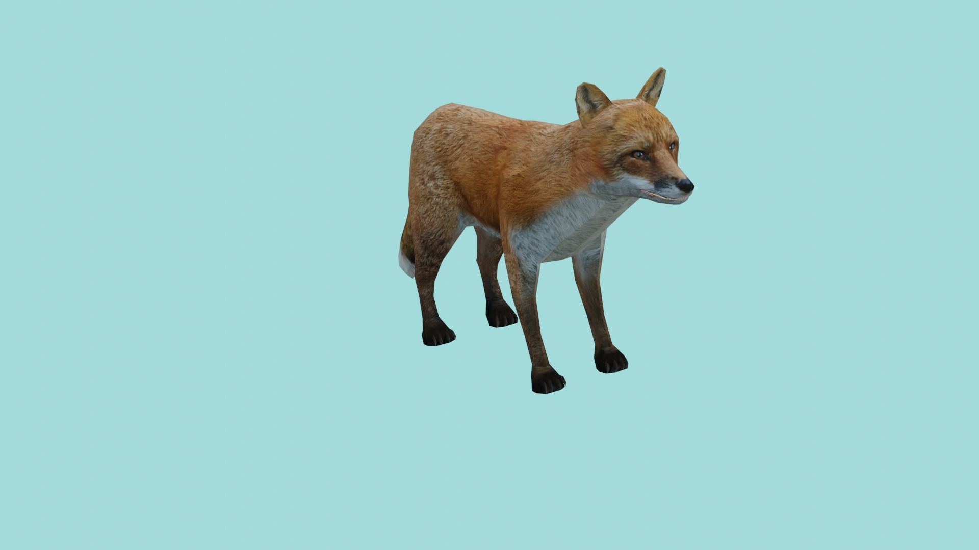 fox lowpoly 3d model 3D model_3