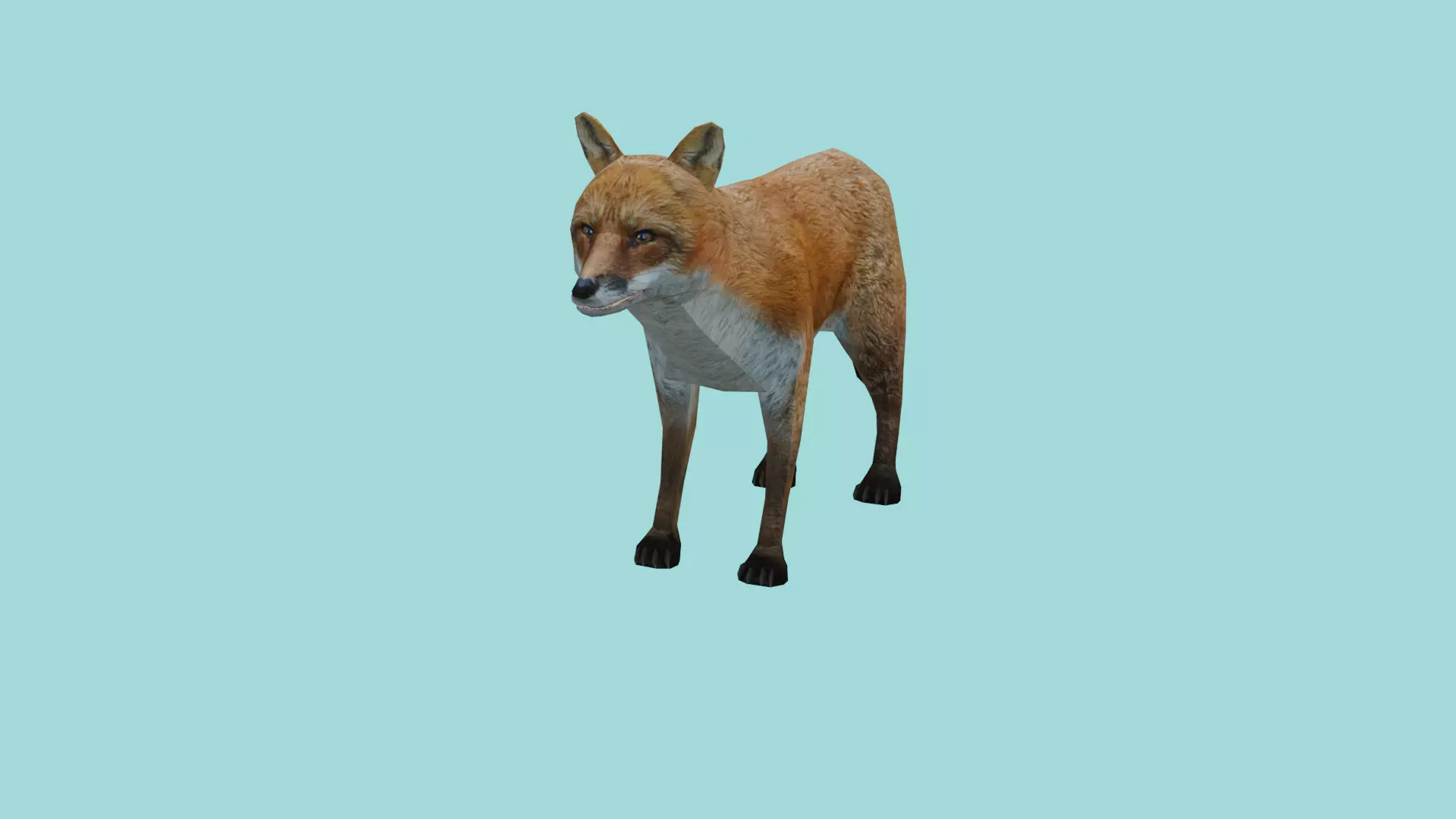 fox lowpoly 3d model 3D model_0
