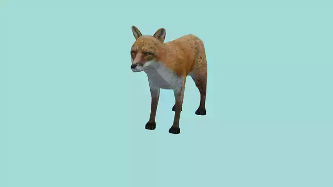 fox lowpoly 3d model
