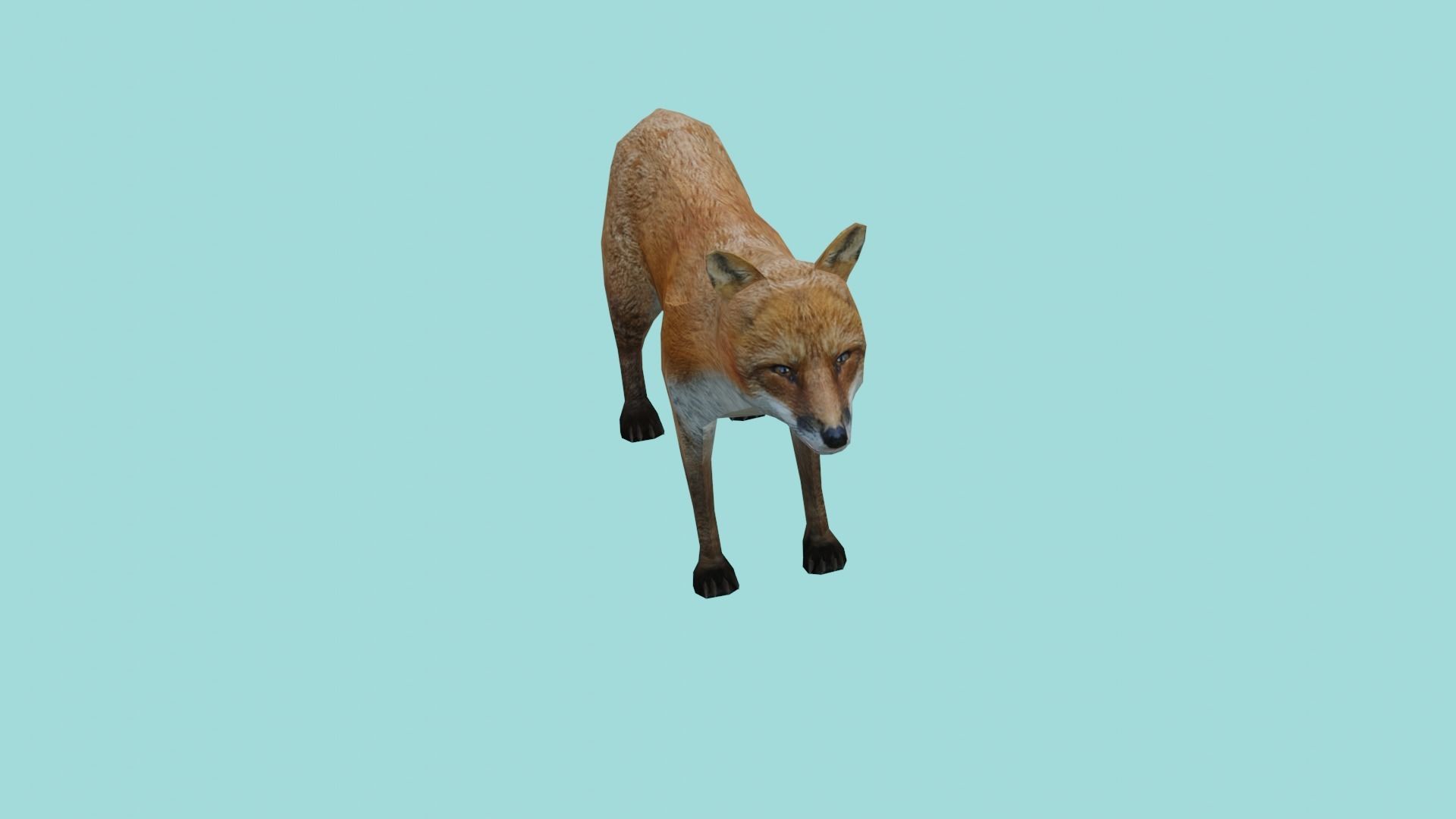 fox lowpoly 3d model 3D model_6