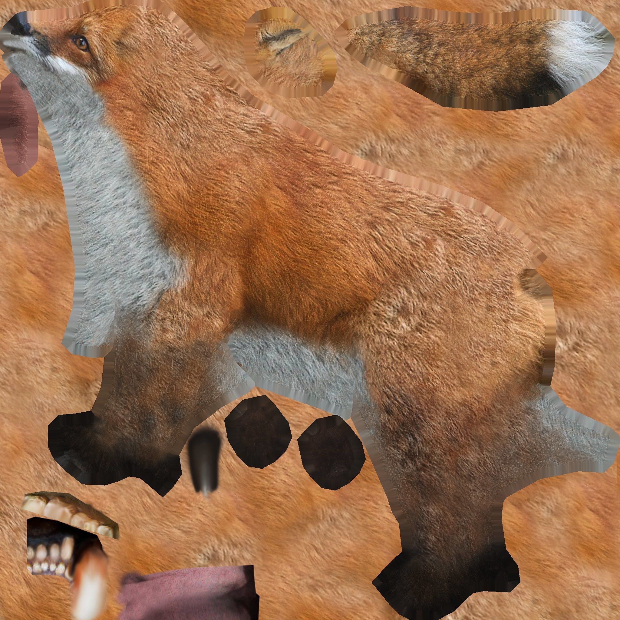 fox lowpoly 3d model 3D model_7