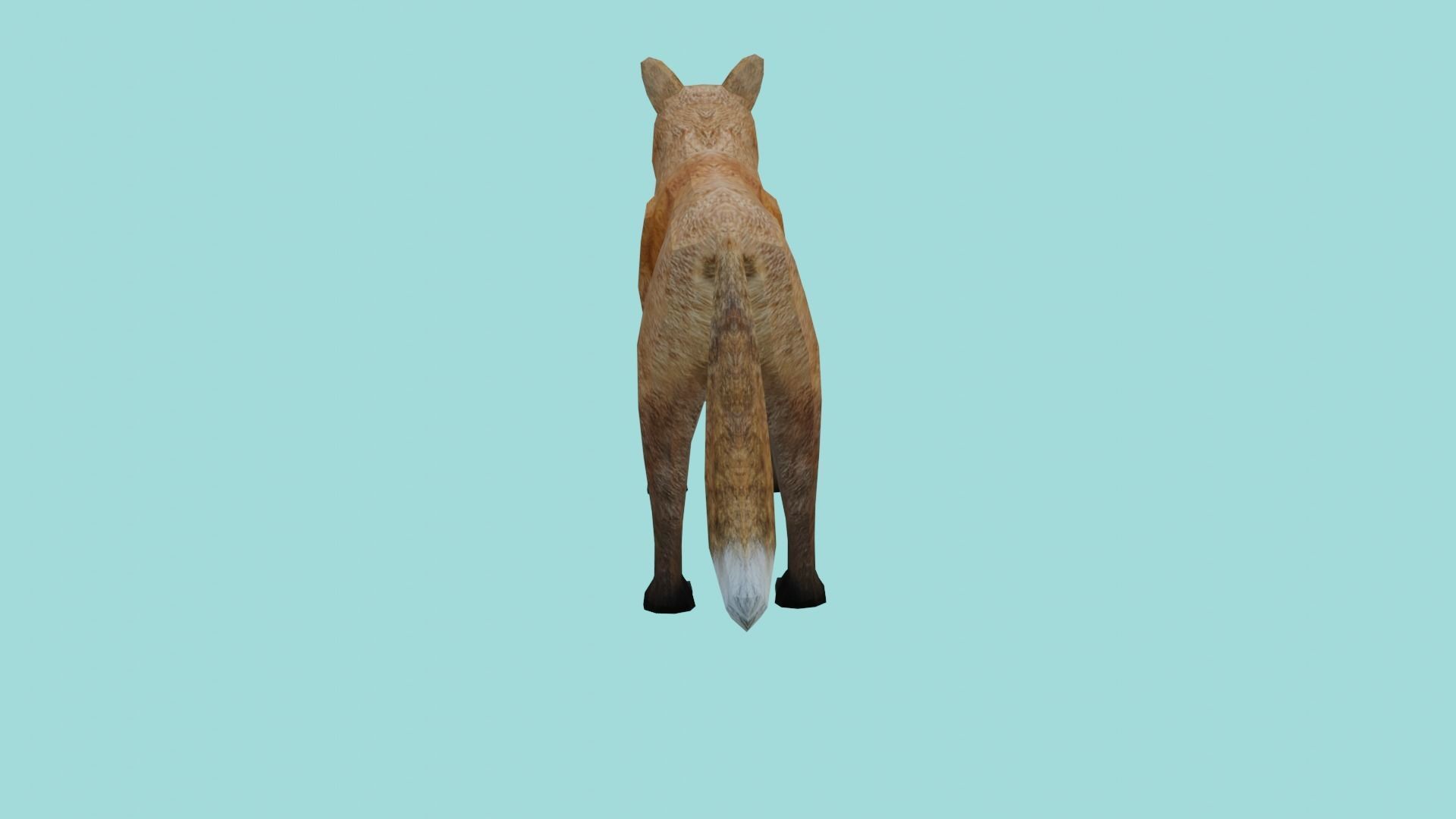 fox lowpoly 3d model 3D model_5