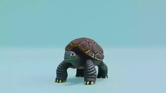 Cute Turtle