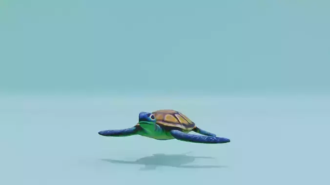 Swimming Turtle