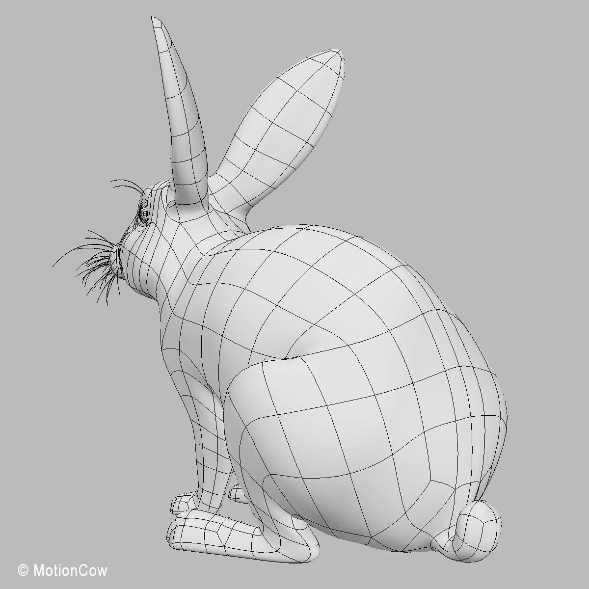Rabbit - Brown 3D model_19