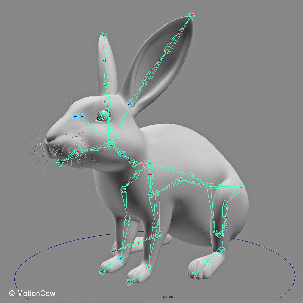 Rabbit - Brown 3D model_17