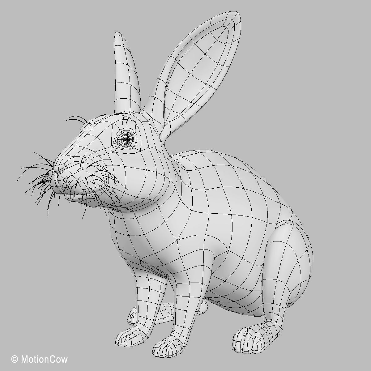 Rabbit - Brown 3D model_18