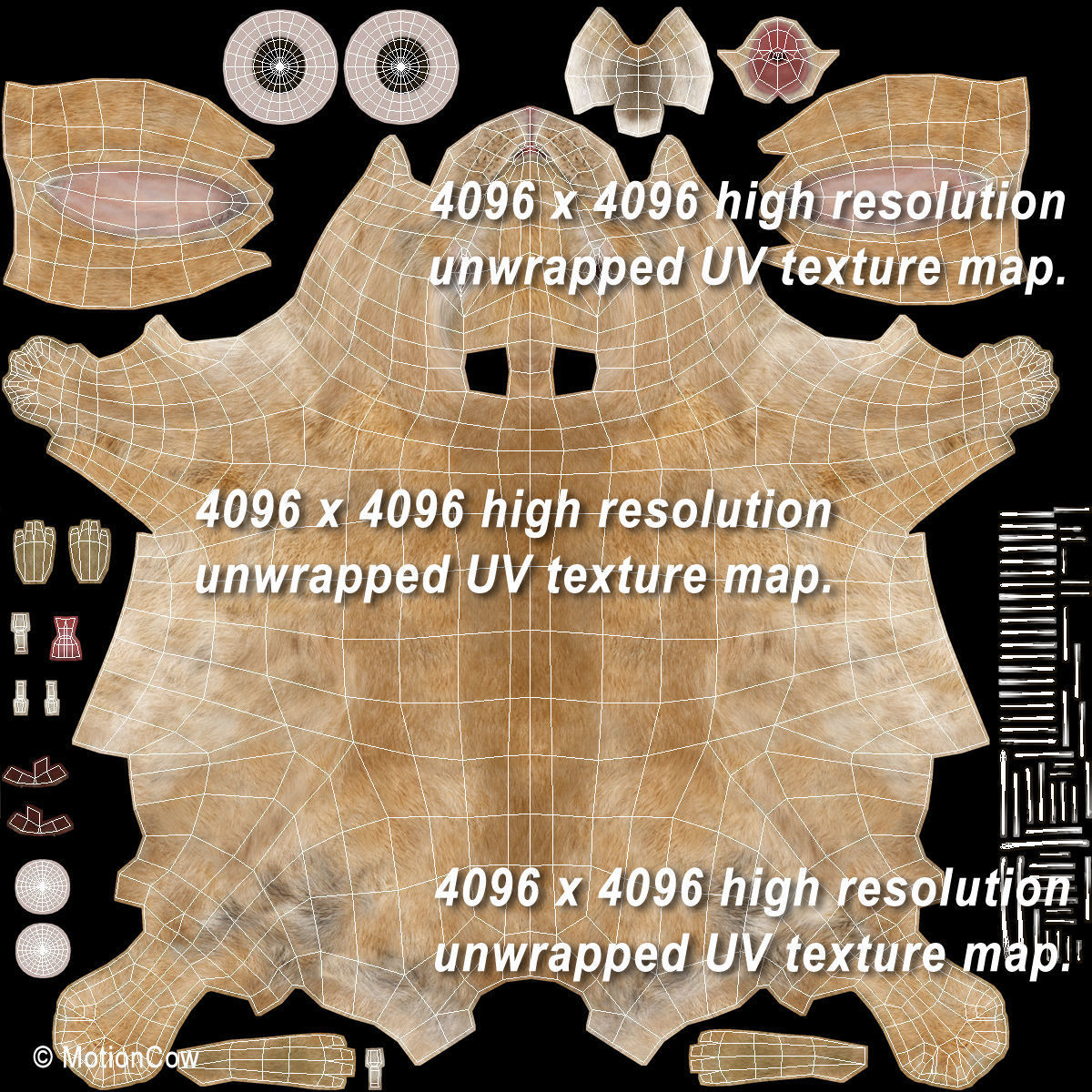 Rabbit - Brown 3D model_20