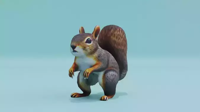 Squirrel realistic Rodent