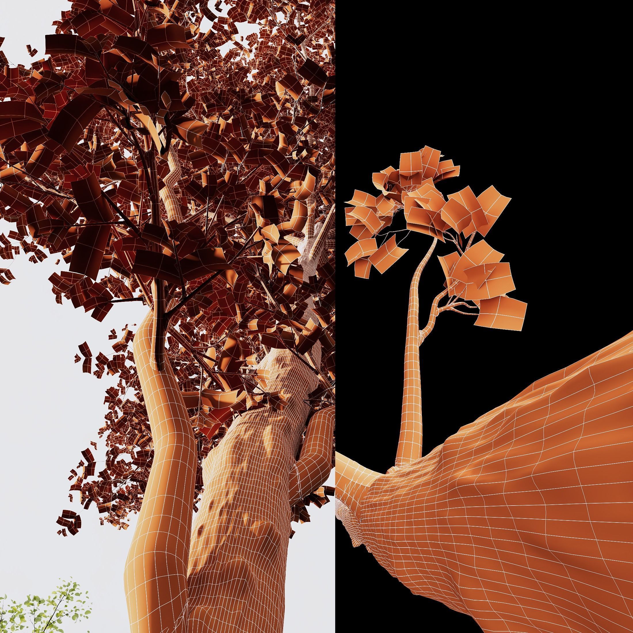 spring trees Acer Pseudoplatanus and Alnus Glutinosa 3D model_6