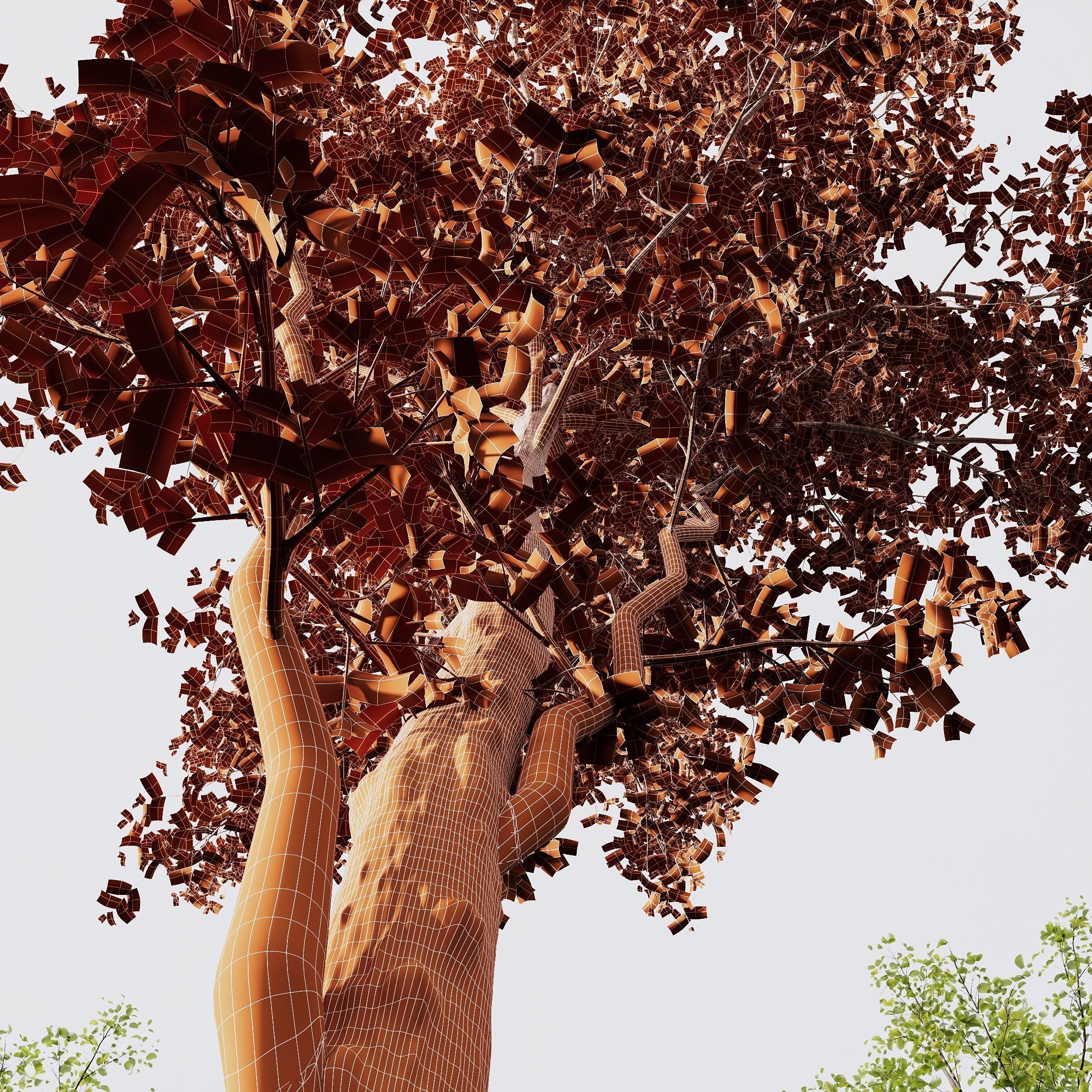 spring trees Acer Pseudoplatanus and Alnus Glutinosa 3D model_7