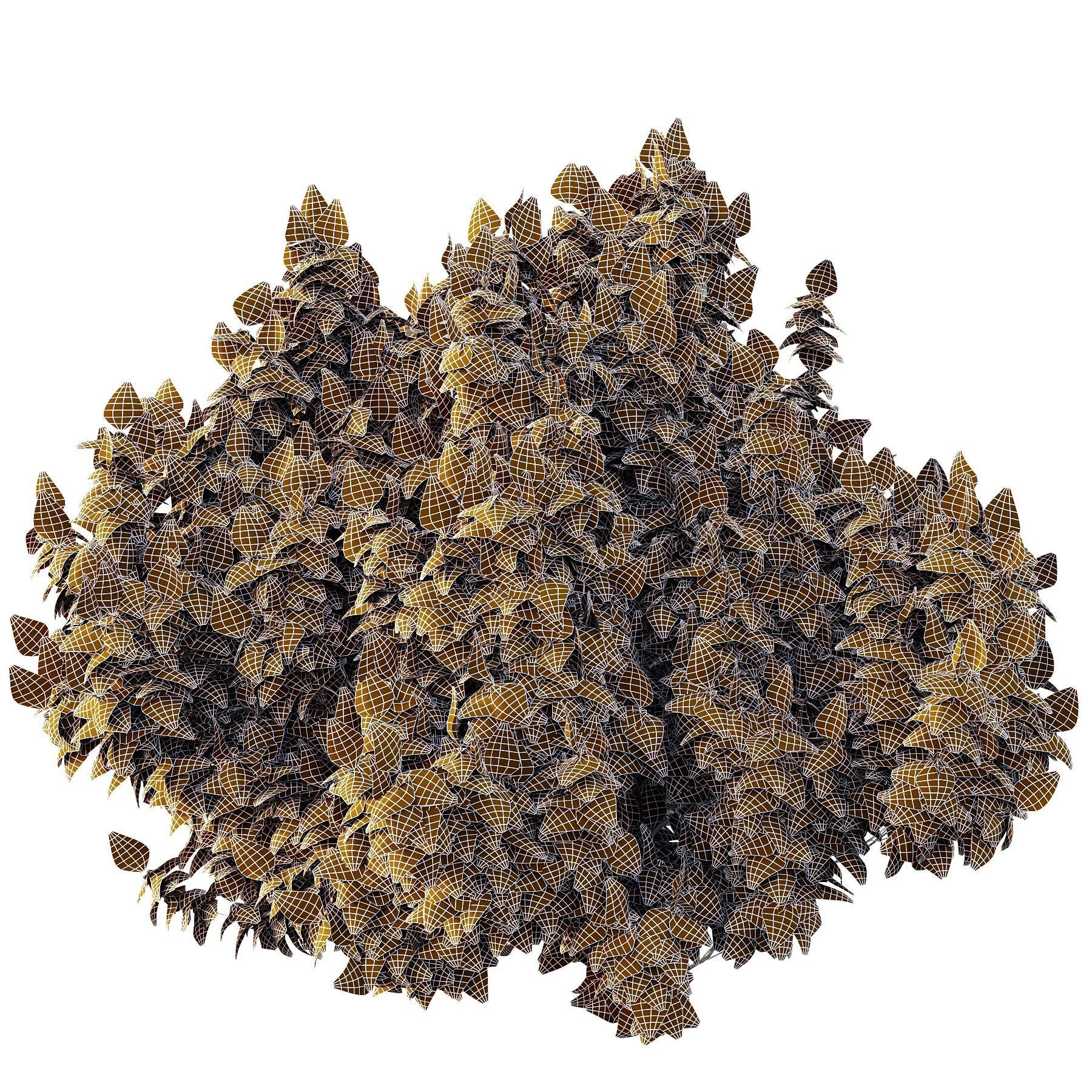 Cypress Bush 07 3D model_6