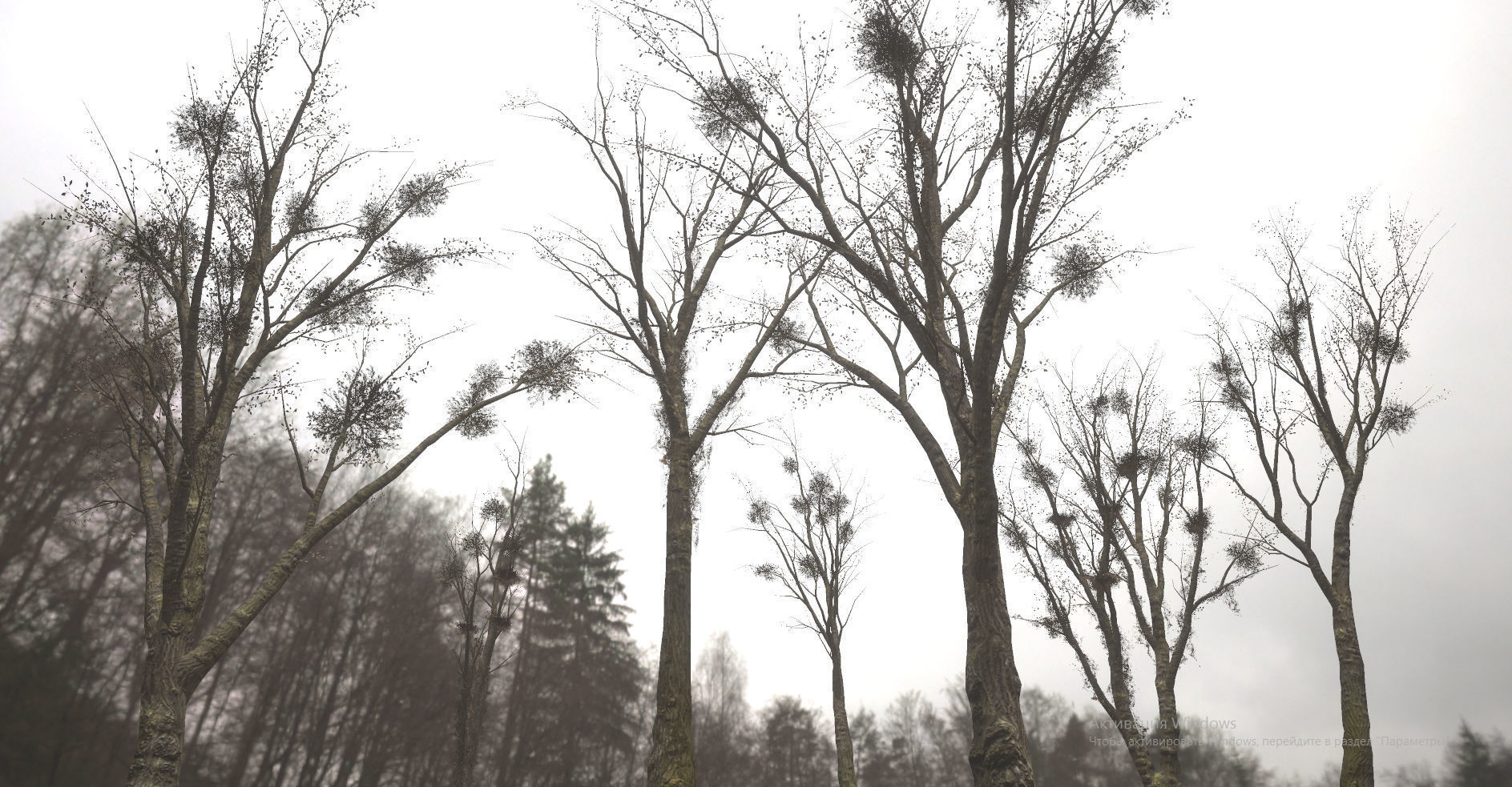 Horror Trees  Low-poly 3D model_7