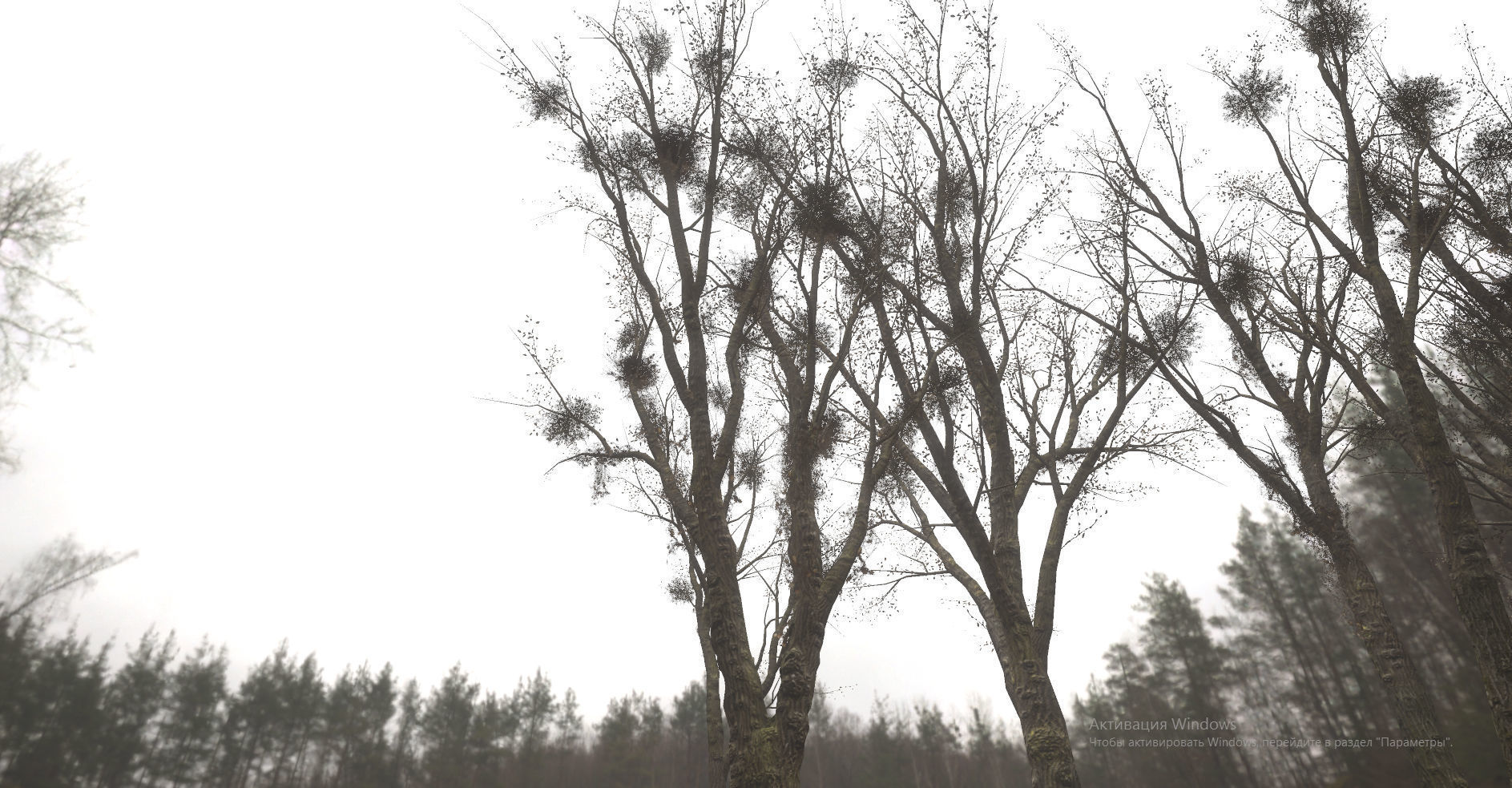 Horror Trees  Low-poly 3D model_6