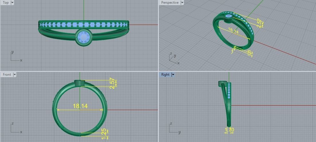 Ring Model 5768 3D print model_6