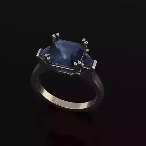 Ring Model 5819