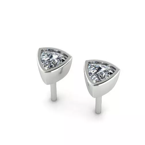 Earrings puset Model 5815 3D print model