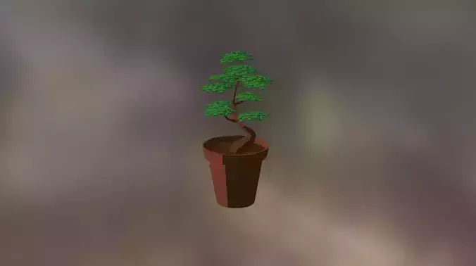 Bonsai Tree Pot Low Poly Cartoon