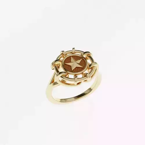 Free Form Textured Wrapping Ring  With Star Insert 3d Model