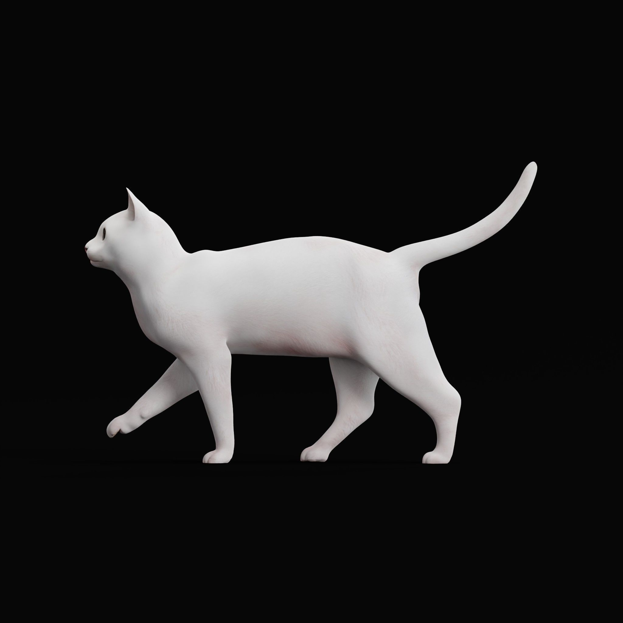 Khao Manee White Cat Low-poly 3D model_15