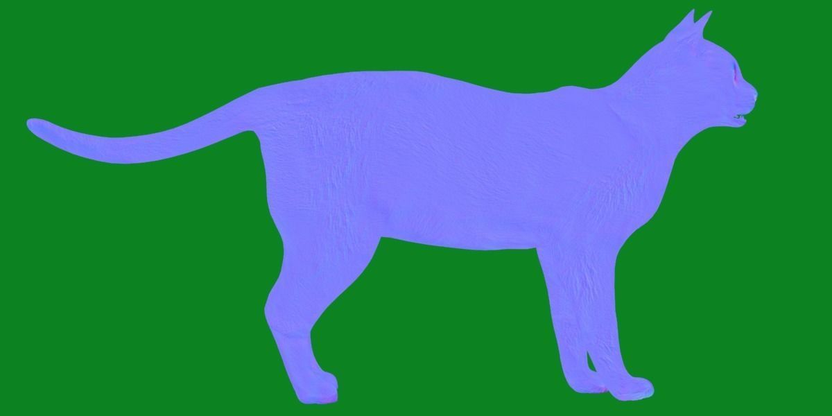 Khao Manee White Cat Low-poly 3D model_35