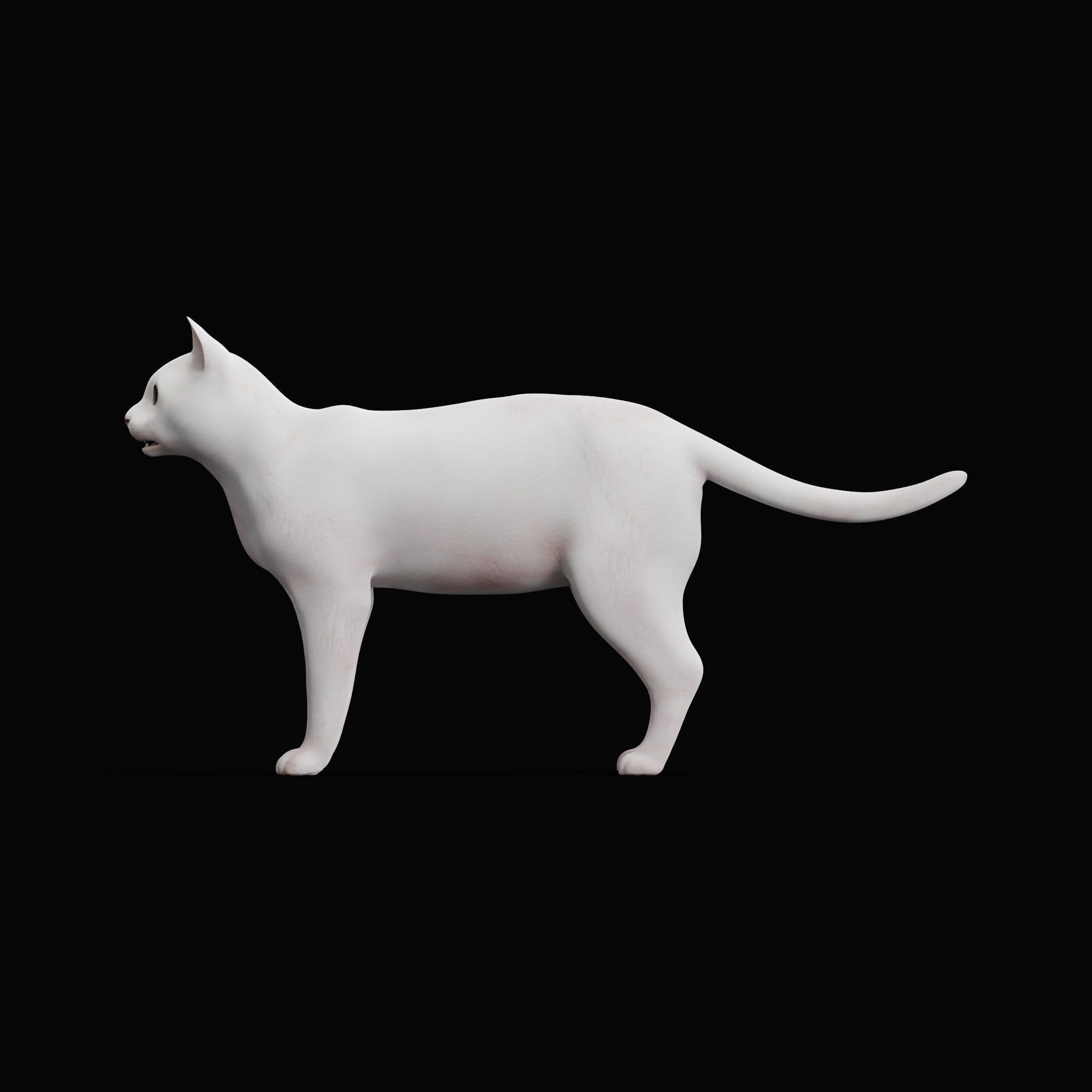 Khao Manee White Cat Low-poly 3D model_12