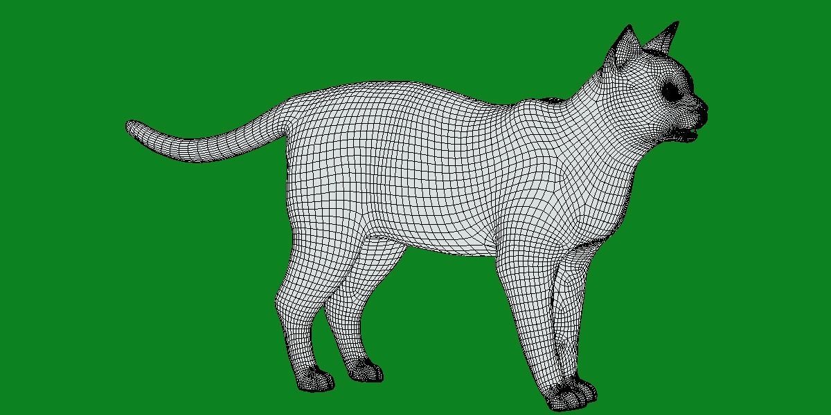 Khao Manee White Cat Low-poly 3D model_22