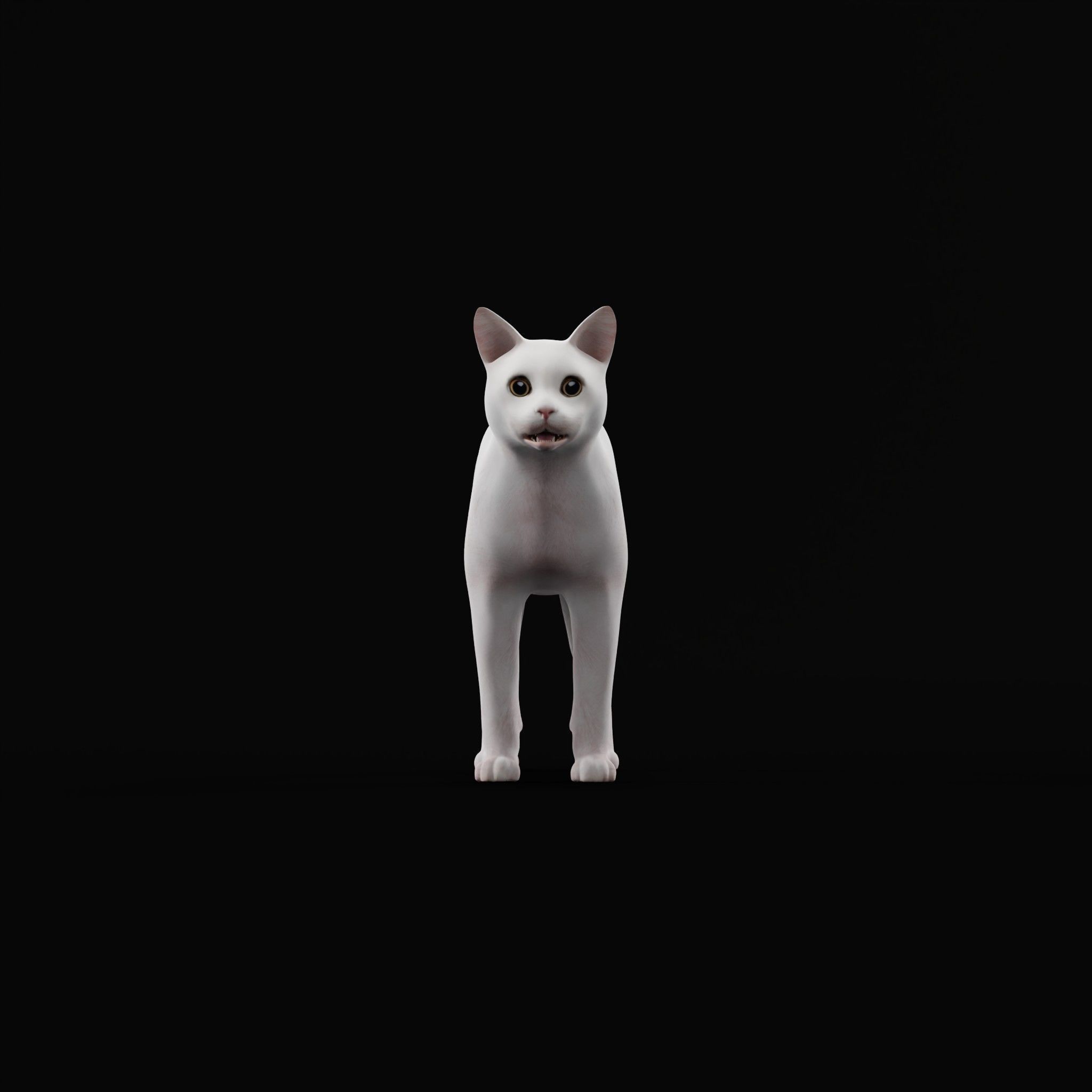 Khao Manee White Cat Low-poly 3D model_11