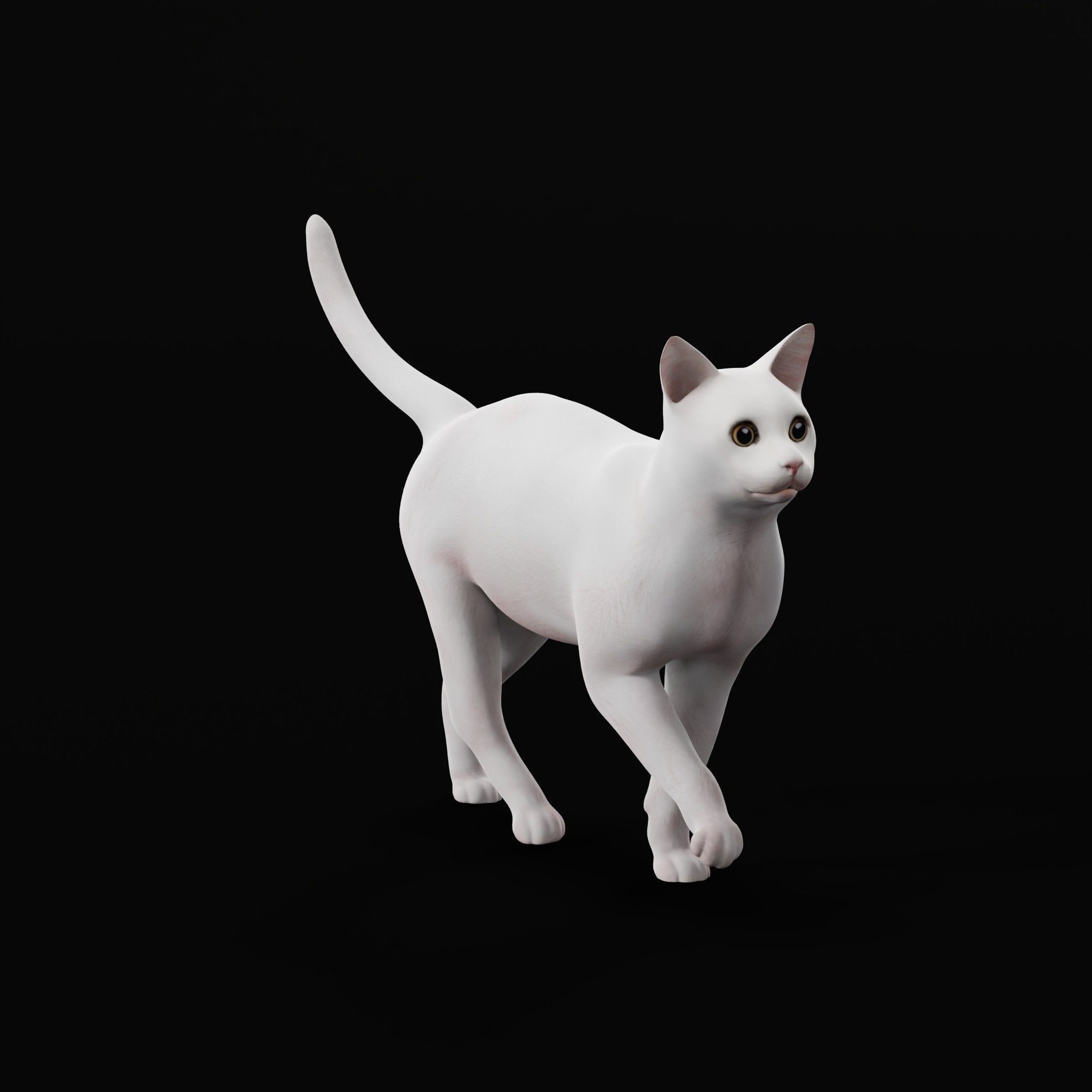 Khao Manee White Cat Low-poly 3D model_14
