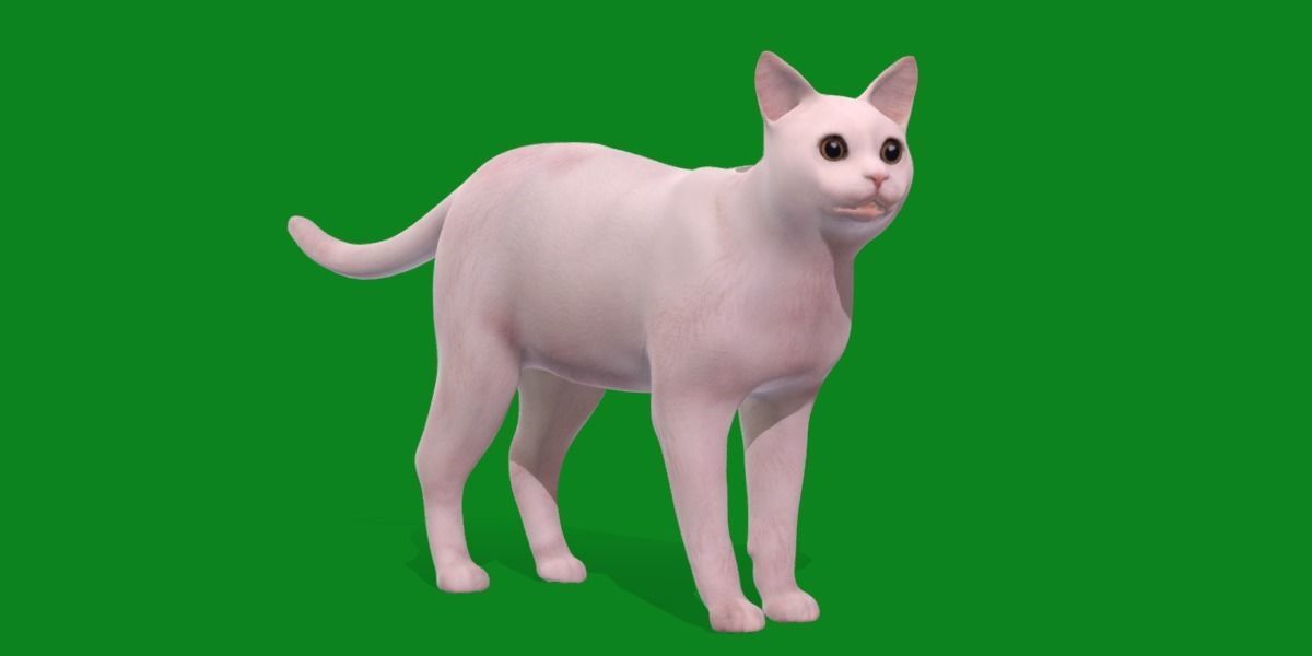 Khao Manee White Cat Low-poly 3D model_16