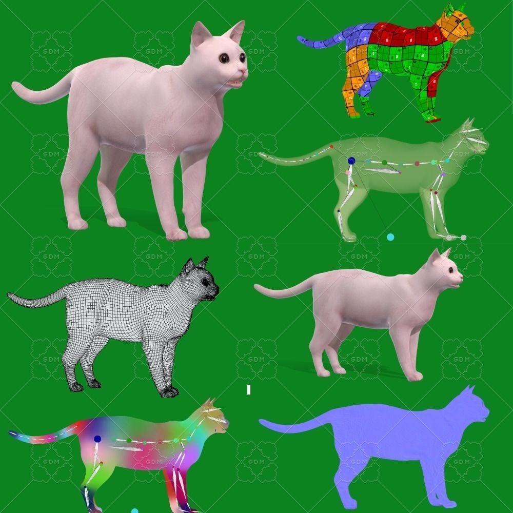 Khao Manee White Cat Low-poly 3D model_7