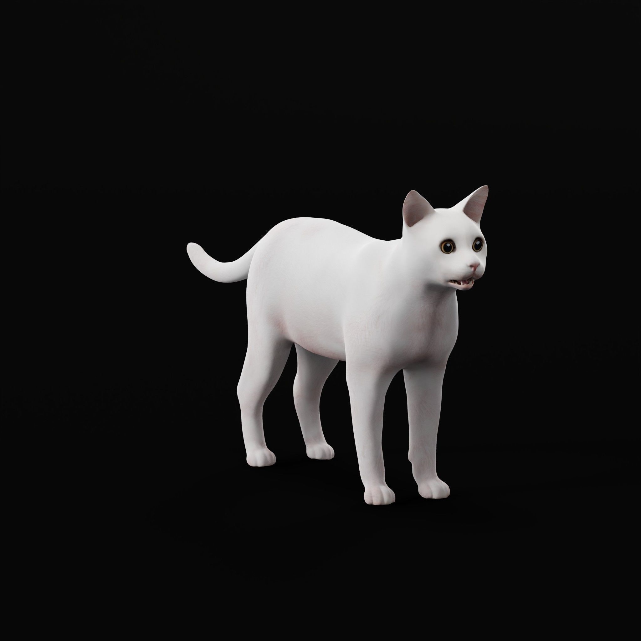 Khao Manee White Cat Low-poly 3D model_9