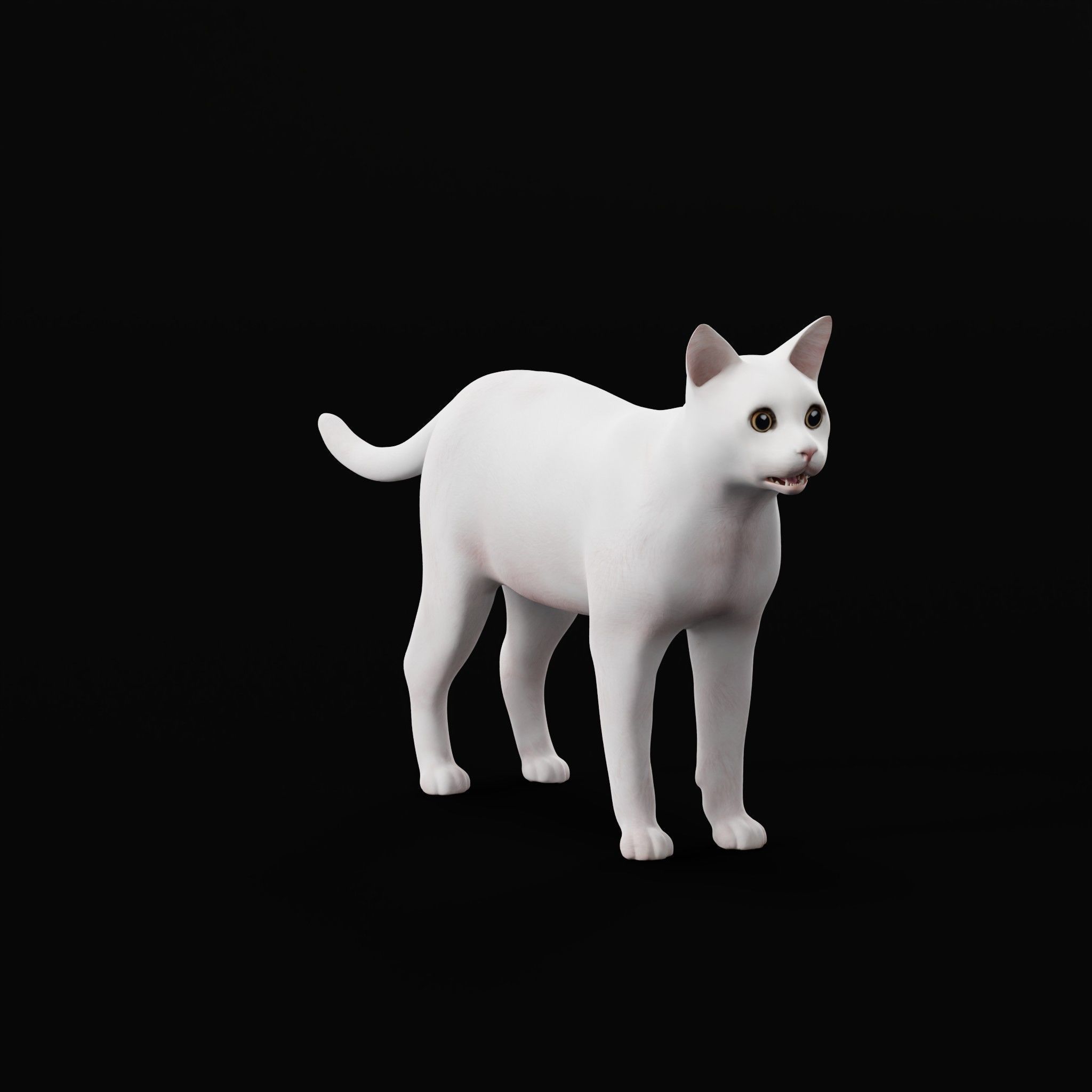 Khao Manee White Cat Low-poly 3D model_10