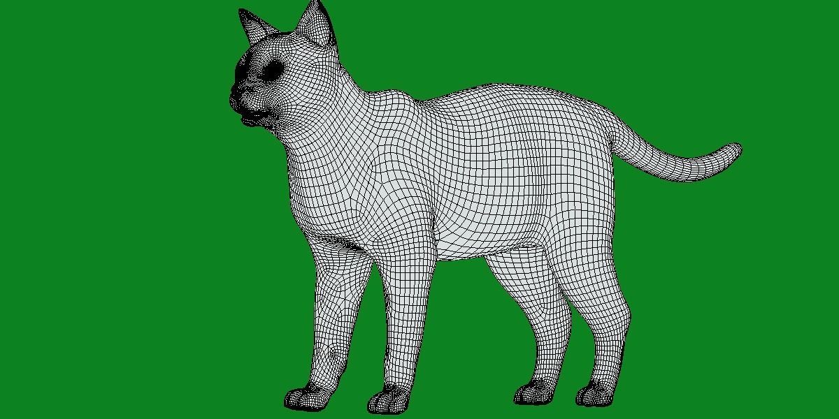 Khao Manee White Cat Low-poly 3D model_24