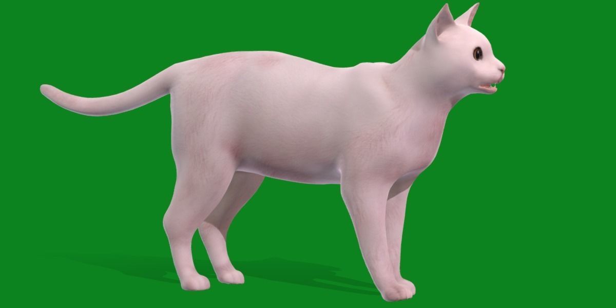 Khao Manee White Cat Low-poly 3D model_29