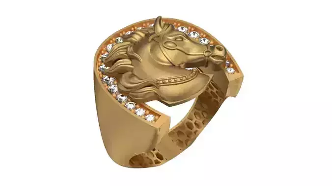 horse ring